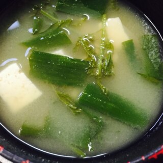 青ネギ&豆腐&ニンジンの葉の味噌汁
